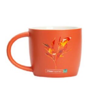 Dilmah Mug hrnek oranžový 350ml
